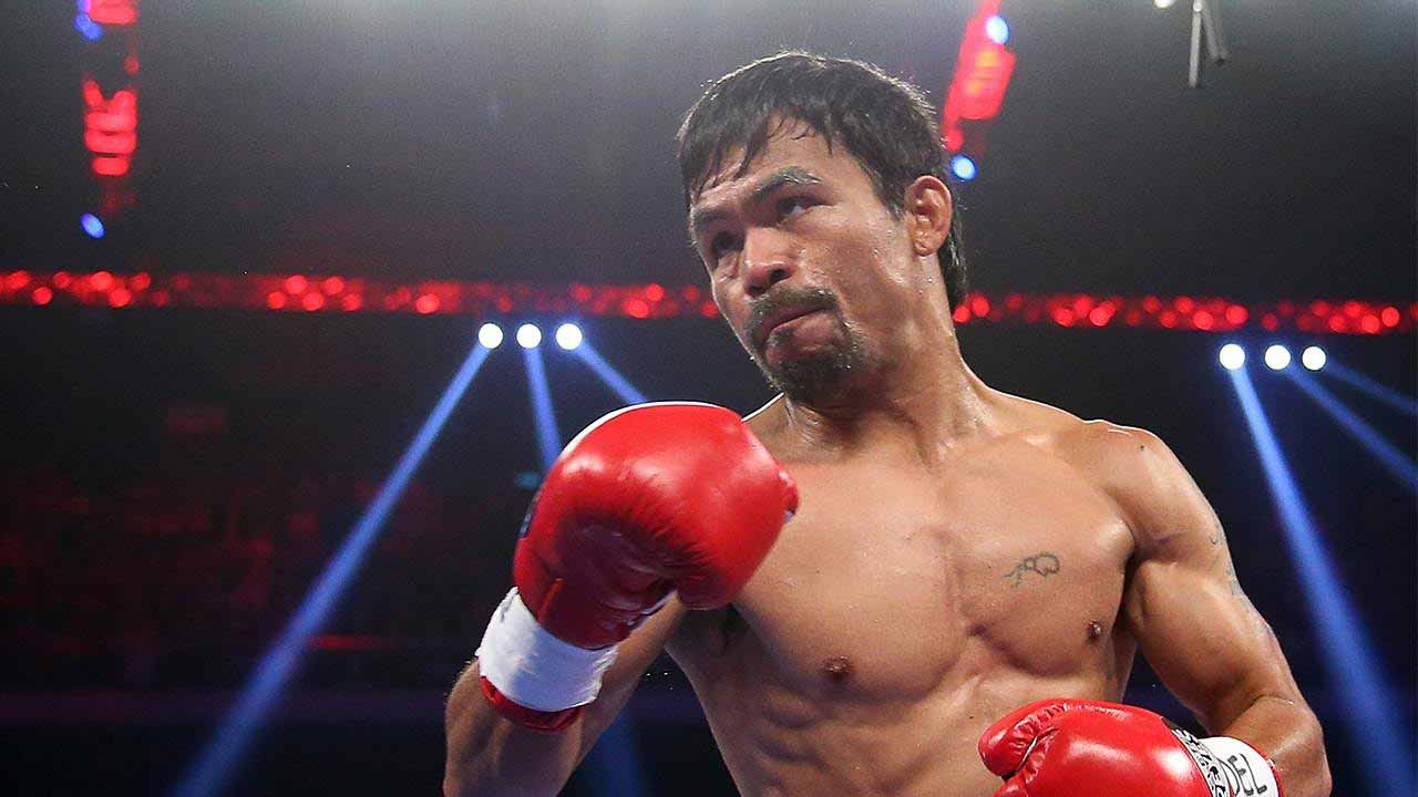 Super bantamweight, Flyweight, Welterweight +more